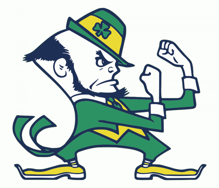 Notre Dame Fighting Irish 1984-Pres Alternate Logo iron on transfers for clothing